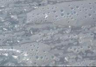 圖片關(guān)鍵詞