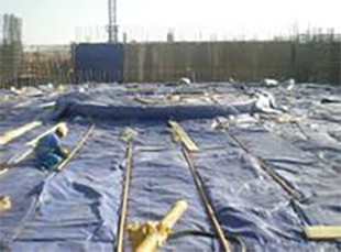 圖片關(guān)鍵詞